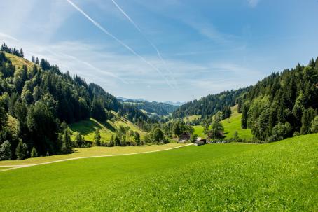 Wandern rund um Burgdorf